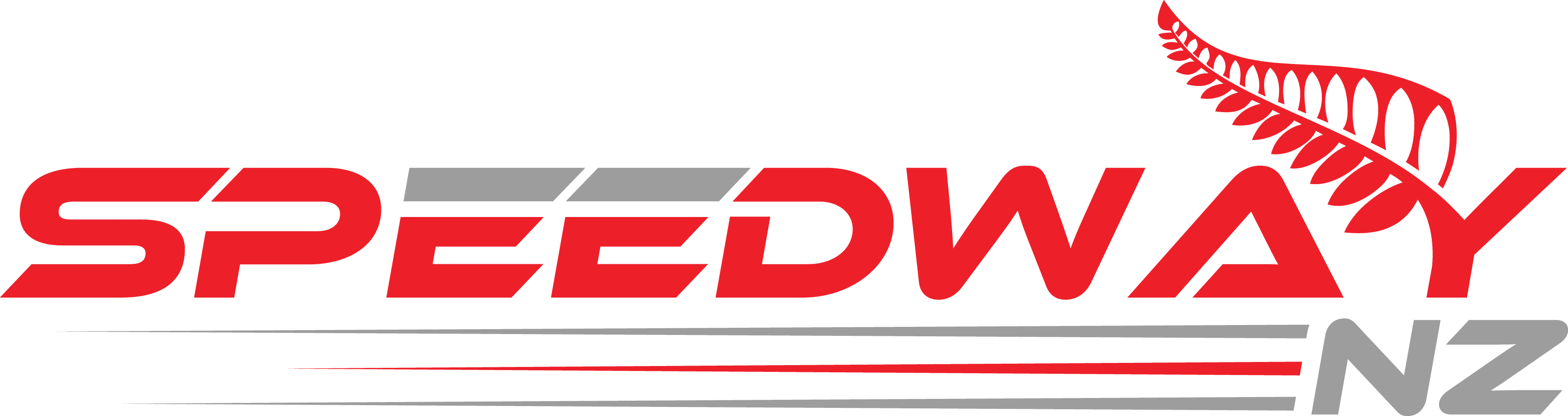 Speedway NZ